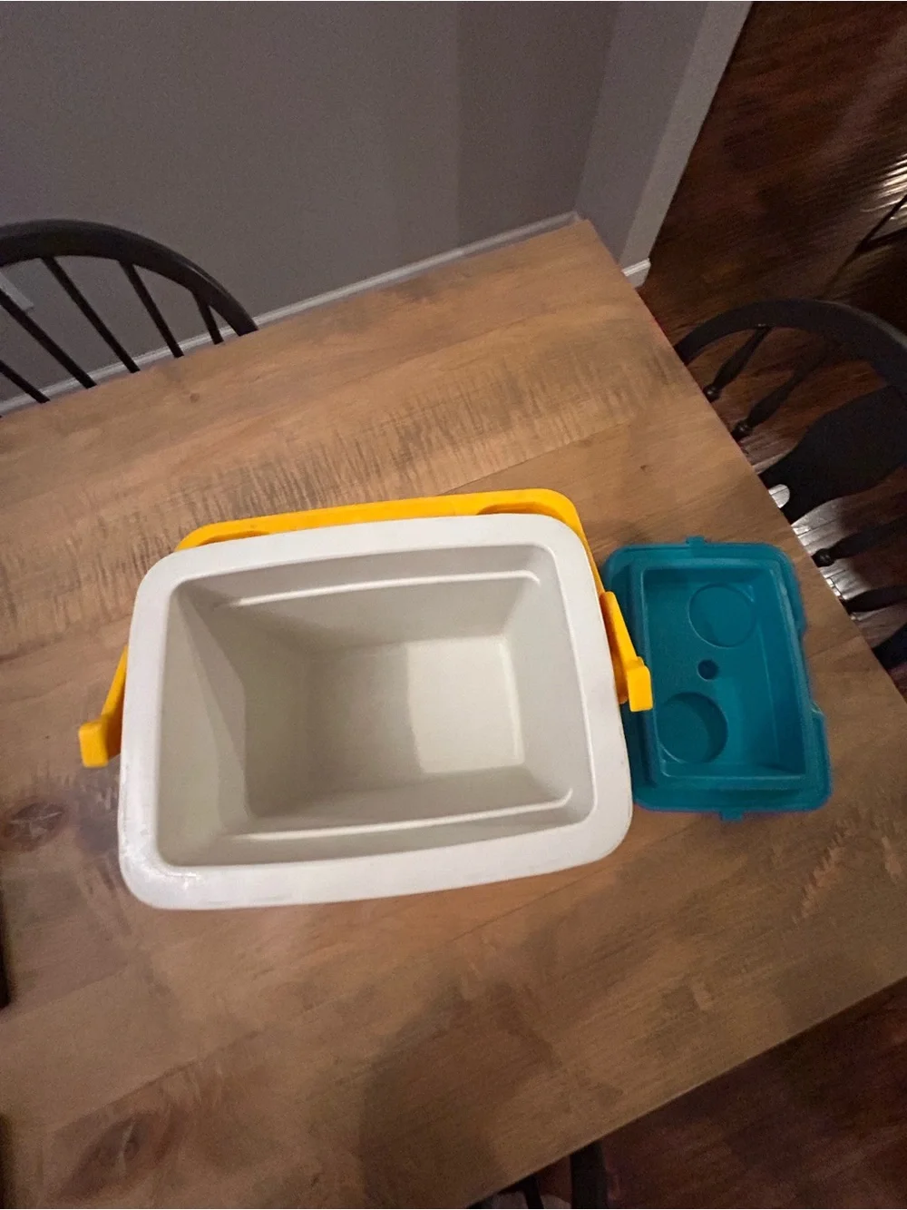 Vintage Igloo Legend 10 Cooler - Retro Pink, Teal & Yellow circa 1992